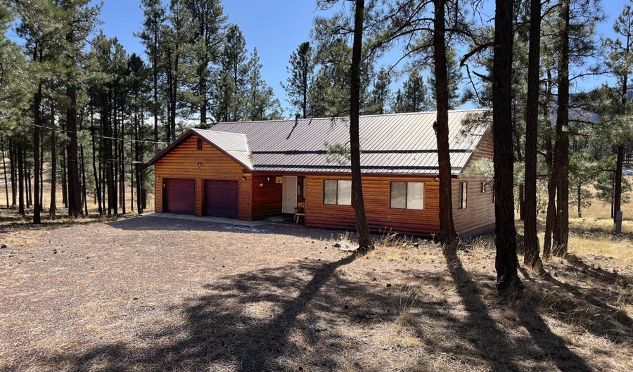 6 County Road 2271, Alpine, AZ 85920 - 3 Beds, 2 Bath