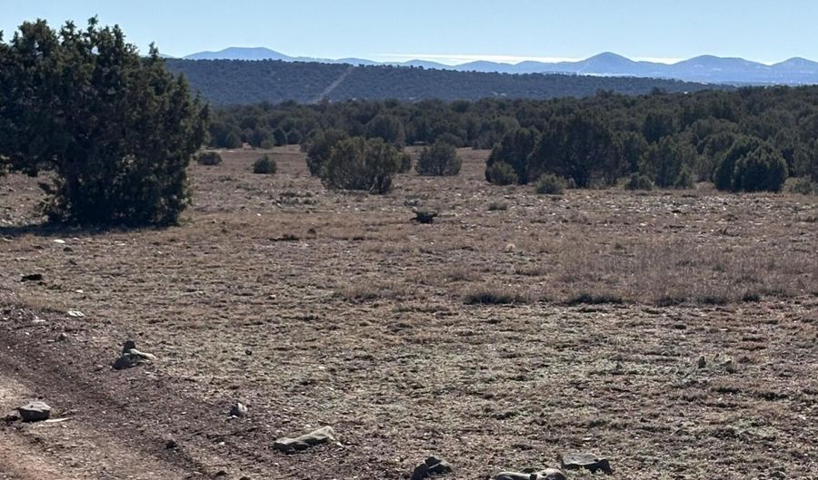 5 N8715, Concho, AZ 85924 - 0 Beds, 0 Bath