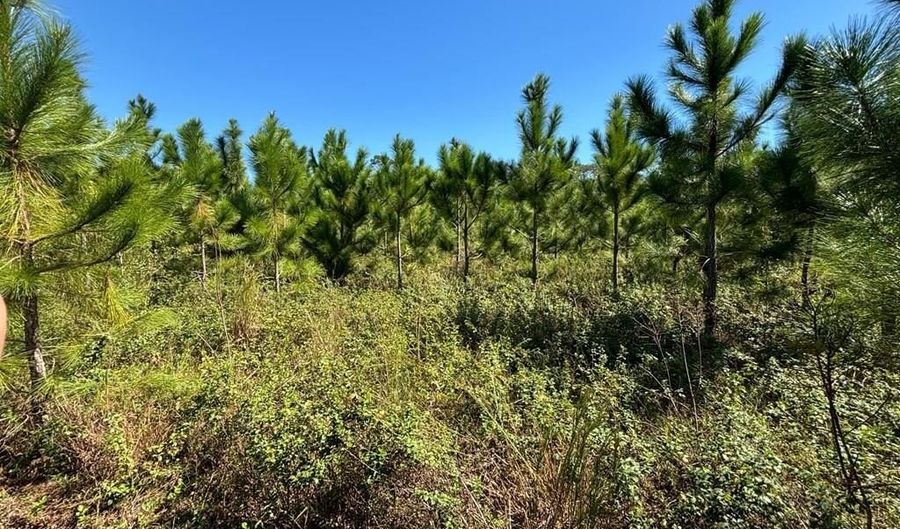 00 50th Ave, Bell, FL 32619 - 0 Beds, 0 Bath