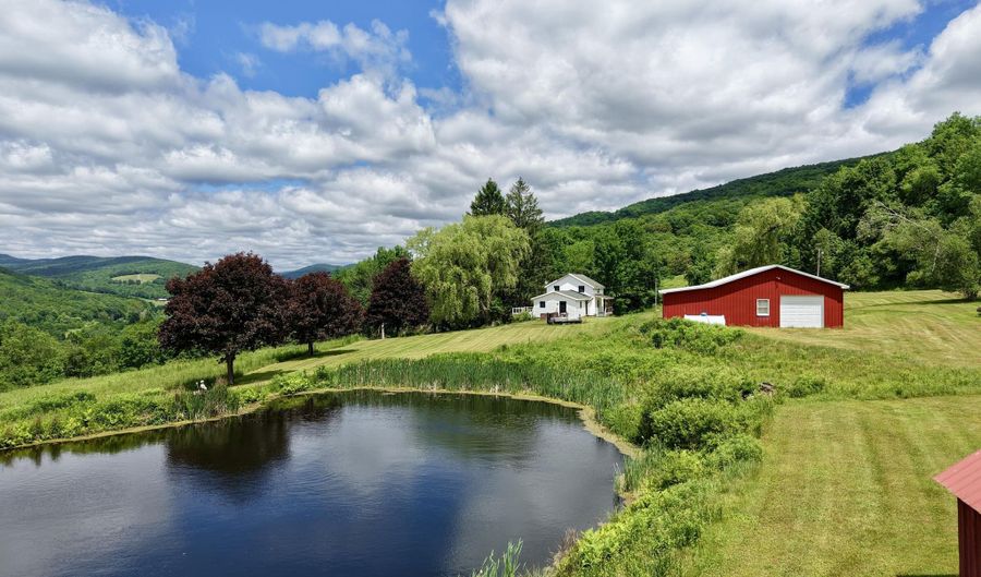 240 Dowie Rd, Andes, NY 13731 - 4 Beds, 3 Bath