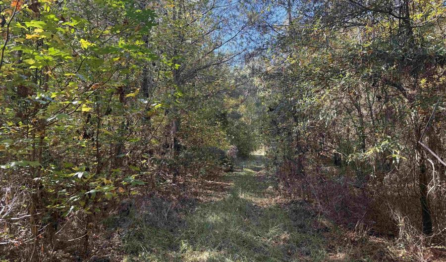 793 Puncheon Creek Dr, Andrews, SC 29510 - 0 Beds, 0 Bath