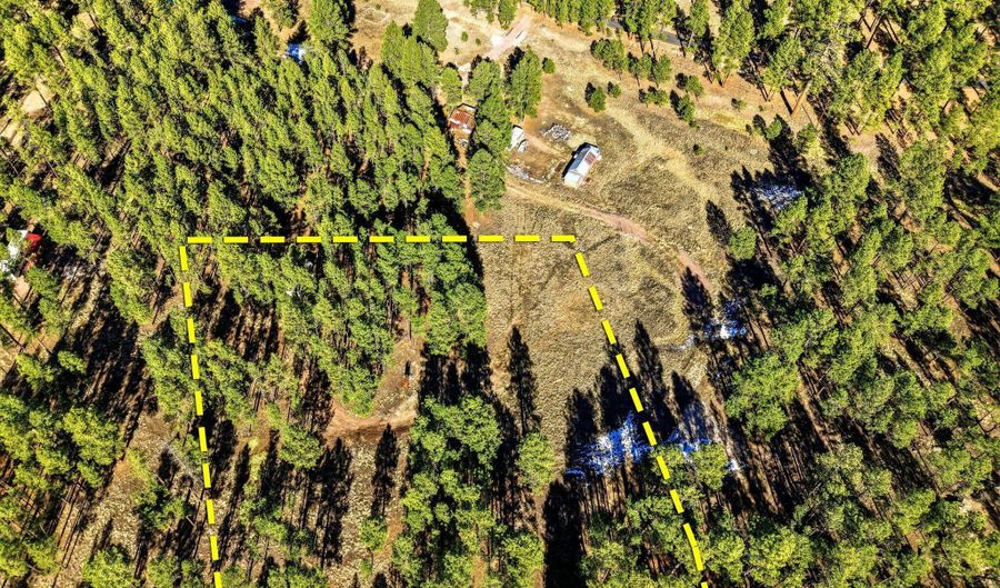 CR N2121, Alpine, AZ 85920 - 0 Beds, 0 Bath
