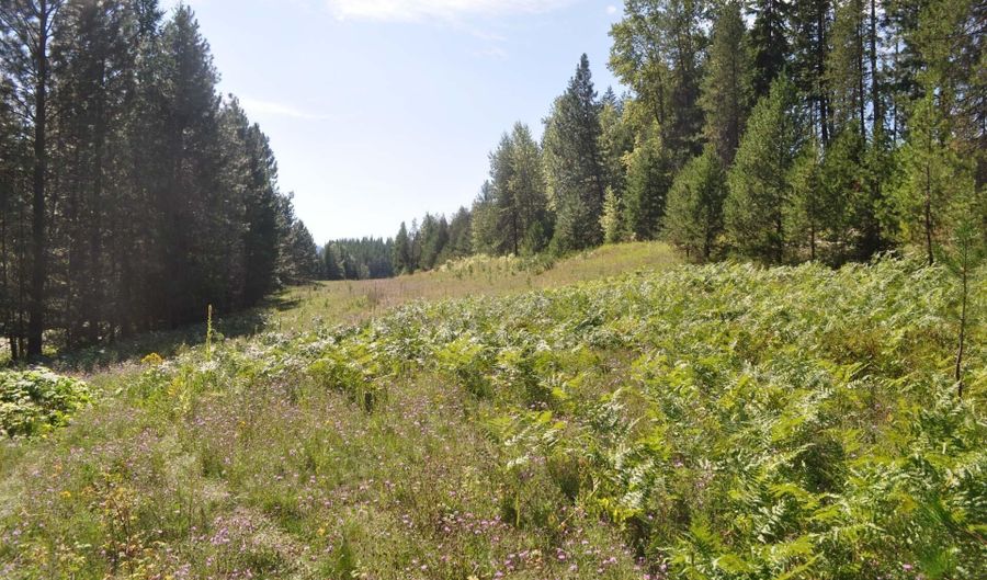 Nna 196 Acres Hwy 95, Bonners Ferry, ID 83805 - 0 Beds, 0 Bath