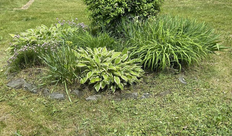 1016 State St, Bangor, ME 04401 - 2 Beds, 0 Bath