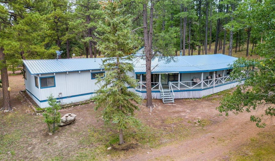 52 County Rd 2271, Alpine, AZ 85920 - 3 Beds, 2 Bath