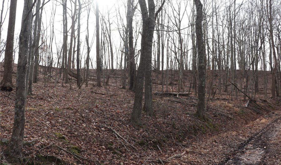 Route 12 Road, Alum Creek, WV 25003 - 0 Beds, 0 Bath