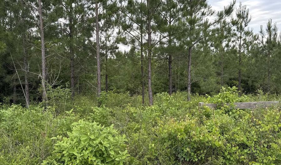 NW Church Road, Altha, FL 32421 - 0 Beds, 0 Bath