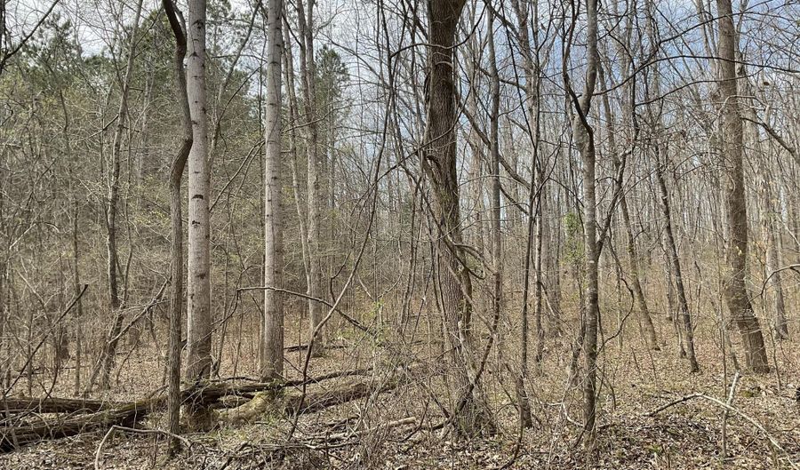 592 Hubberd Town Rd, Beech Bluff, TN 38313 - 0 Beds, 0 Bath