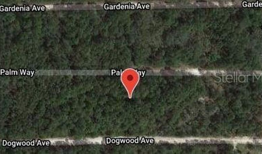 117 PALM Way, Georgetown, FL 32139 - 0 Beds, 0 Bath