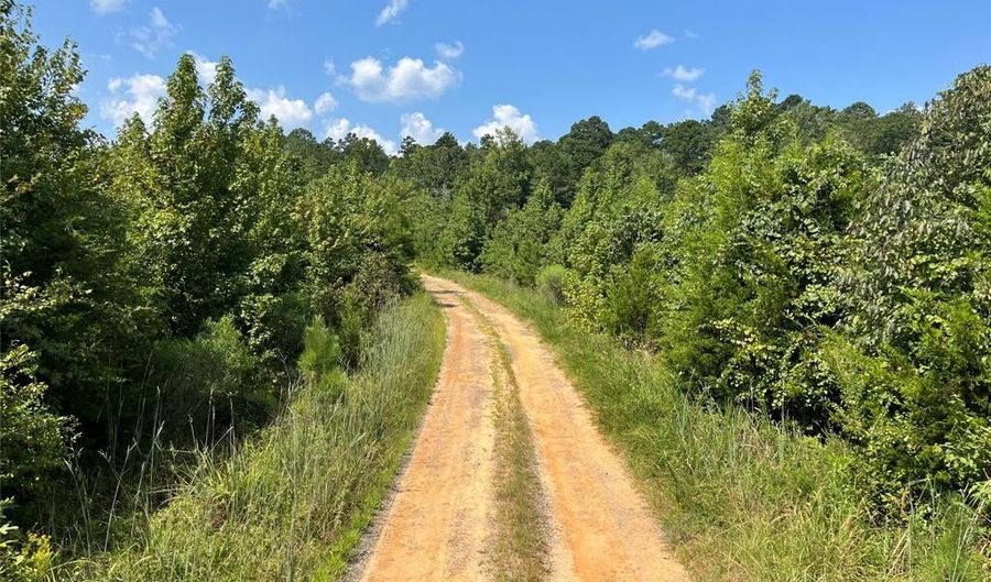 0 Ellis Jones Rd, Bienville, LA 71008 - 0 Beds, 0 Bath