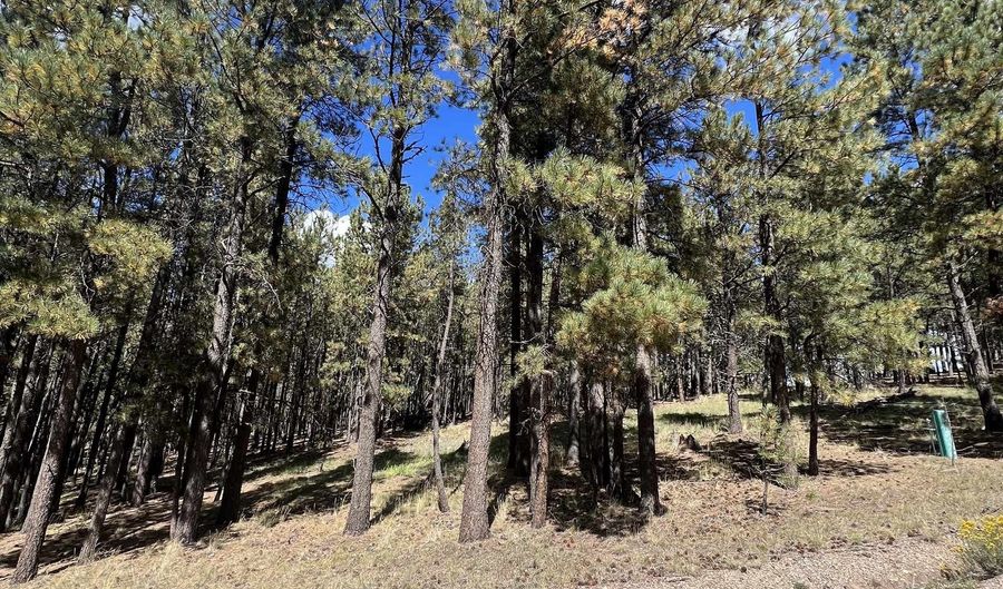 Lot 25 Valley Road, Angel Fire, NM 87710 - 0 Beds, 0 Bath