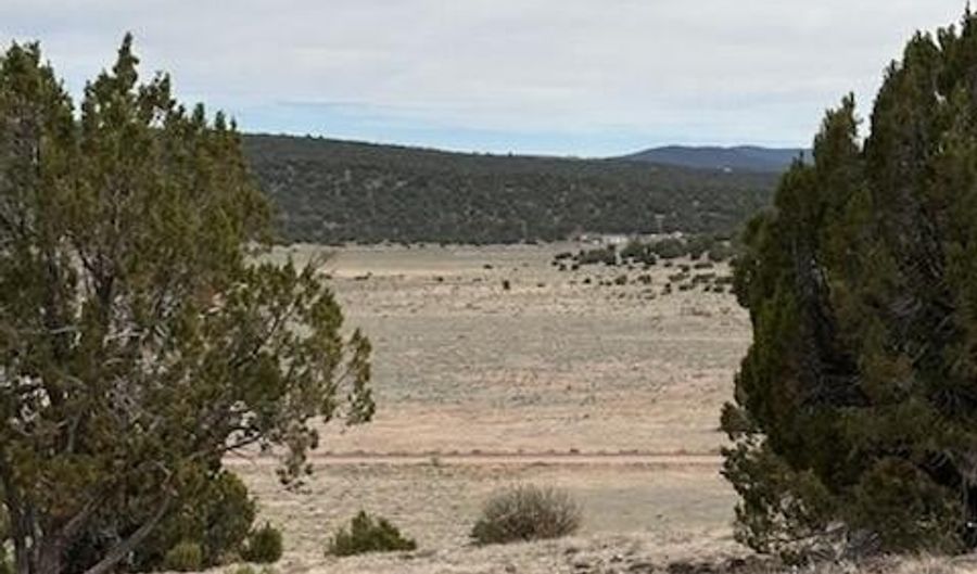 38 CR 8250, Concho, AZ 85924 - 0 Beds, 0 Bath
