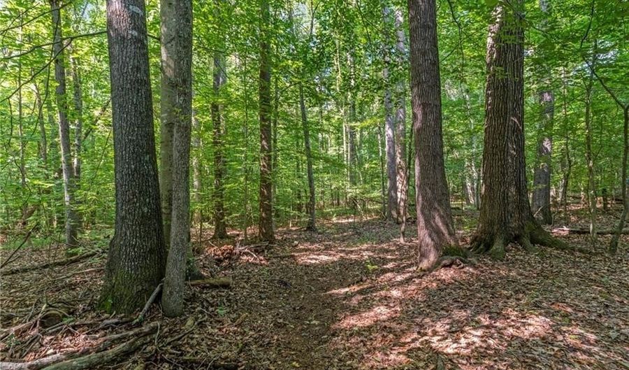 Dykeland Road, Amelia, VA 23002 - 0 Beds, 0 Bath