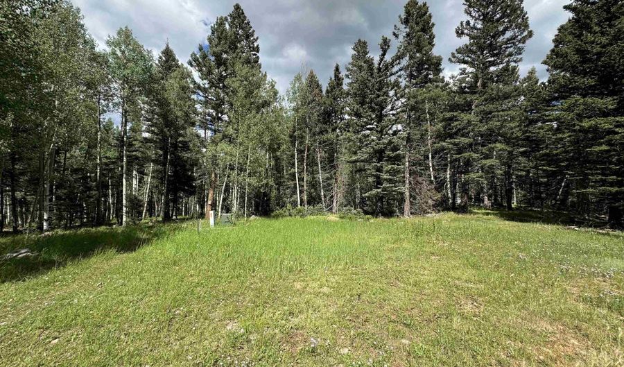 Elk Ridge Road lot 23, Angel Fire, NM 87710 - 0 Beds, 0 Bath