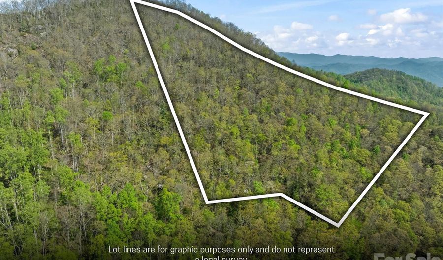 21 Reillys Bluff Rd 1, Barnardsville, NC 28709 - 0 Beds, 0 Bath