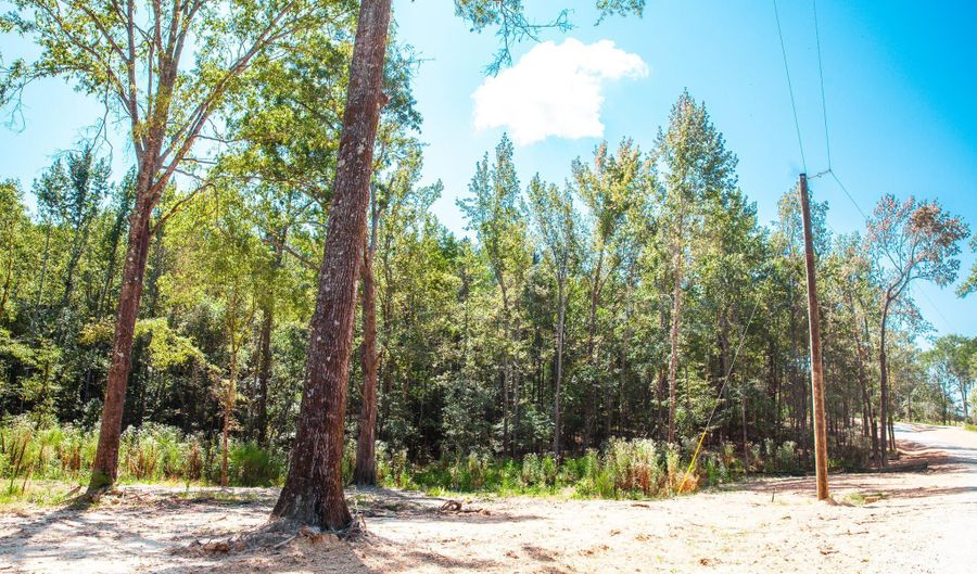 555 Rabbit Pen Dr, Appling, GA 30802 - 0 Beds, 0 Bath