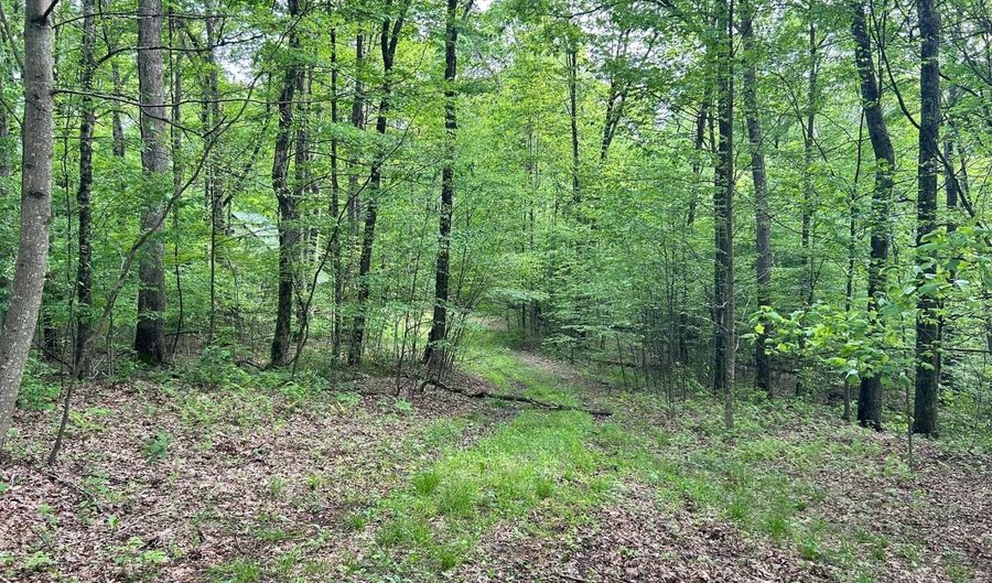 0 Oliver Lipscomb, Aurora, WV 26705 - 1 Beds, 1 Bath