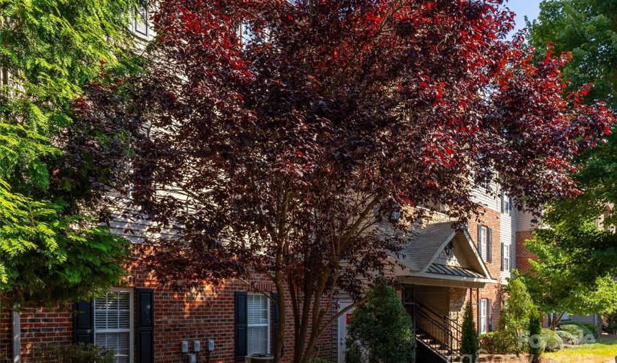 332 Appeldoorn Cir, Asheville, NC 28803 - 3 Beds, 2 Bath