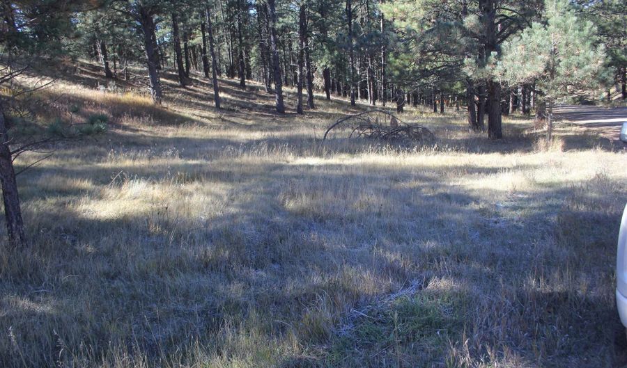 Valley Road lot 41, Angel Fire, NM 87710 - 0 Beds, 0 Bath