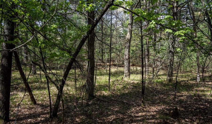 S Badger Lane lot 39, Arkdale, WI 54613 - 0 Beds, 0 Bath