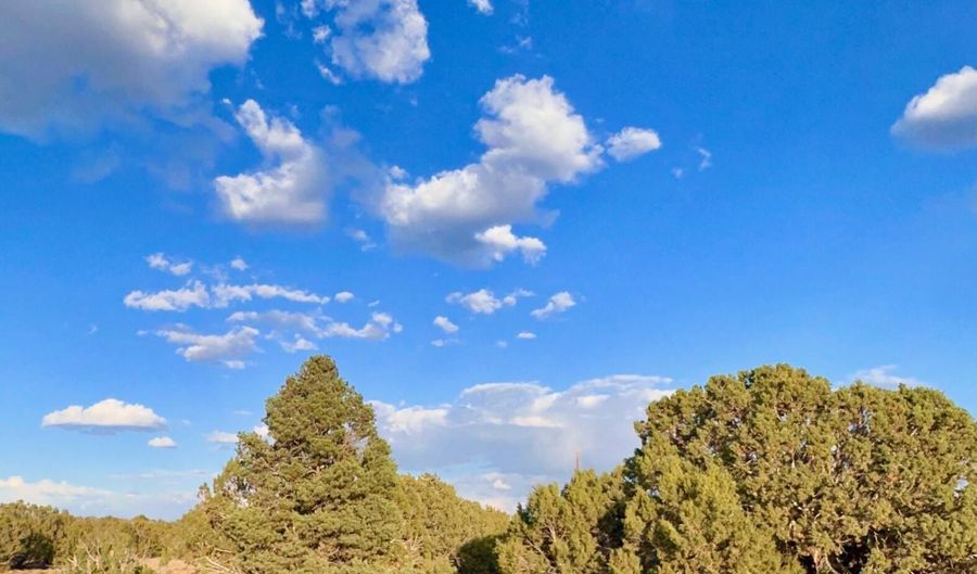 47 County Rd 8306 165, Concho, AZ 85924 - 0 Beds, 0 Bath