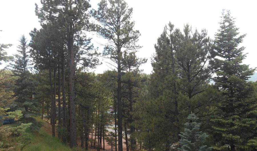 Five Springs Road E-1, Angel Fire, NM 87710 - 1 Beds, 1 Bath