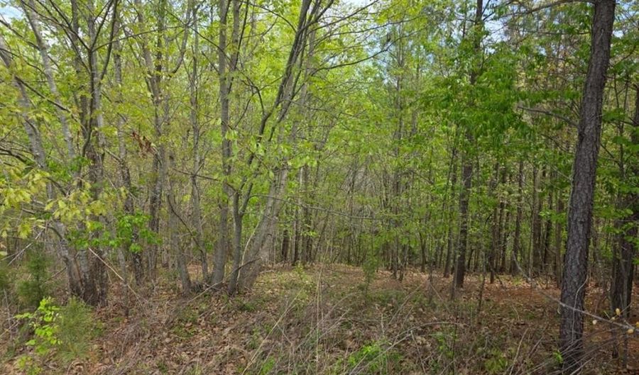 Gardner Farm Road, Appomattox, VA 24522 - 0 Beds, 0 Bath