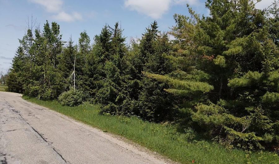 Lot 1 E West Resort Road, Alanson, MI 49706 - 0 Beds, 0 Bath