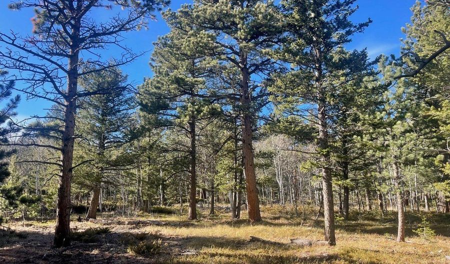 399 N Skinner Rd, Allenspark, CO 80510 - 0 Beds, 0 Bath