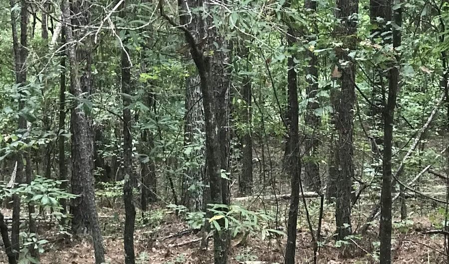 0 AURORA Dr 36, Alpine, AL 35014 - 0 Beds, 0 Bath