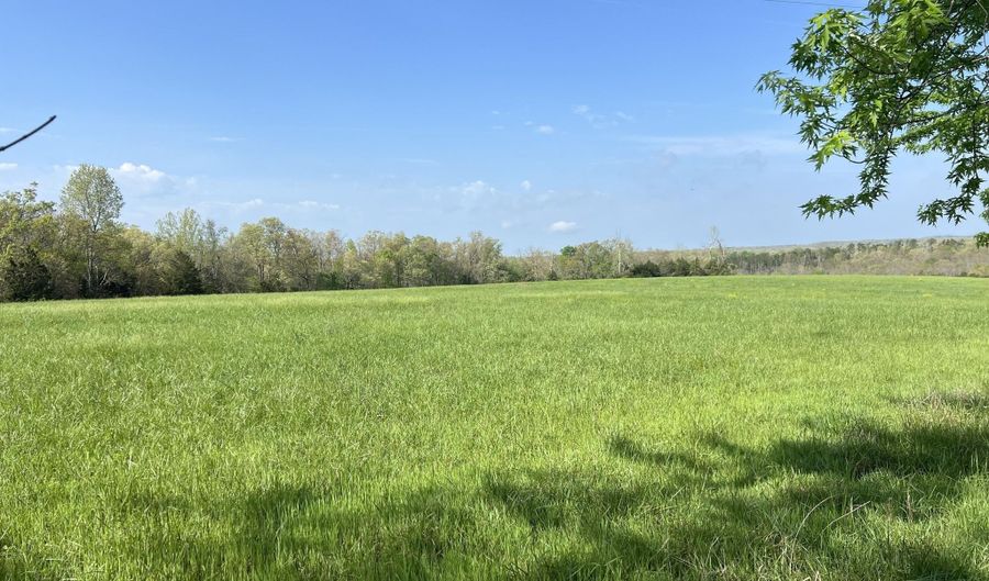 12257 Y-521 Rd, Ava, MO 65608 - 0 Beds, 0 Bath