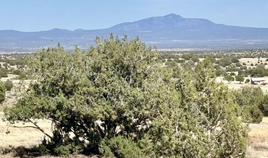 Lot 46 W Rawhide Ranch Road, Ash Fork, AZ 86320 - 0 Beds, 0 Bath