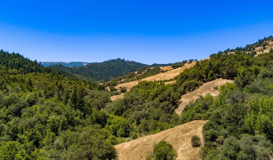 1250 Zenia Bluff Rd, Alderpoint, CA 95511 - 3 Beds, 2 Bath