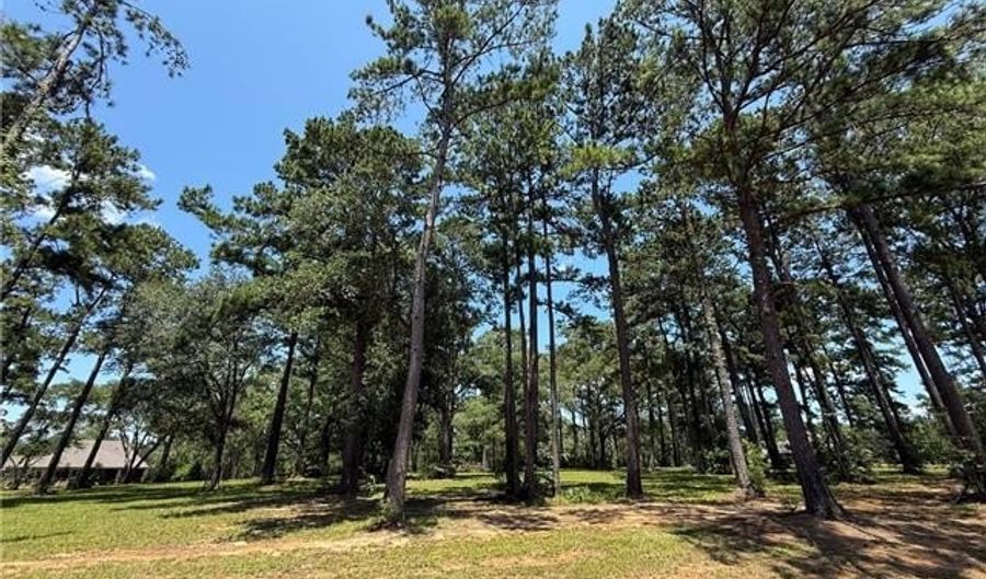 7238 THE WOODS Ave Lot 480, Abita Springs, LA 70420 - 0 Beds, 0 Bath