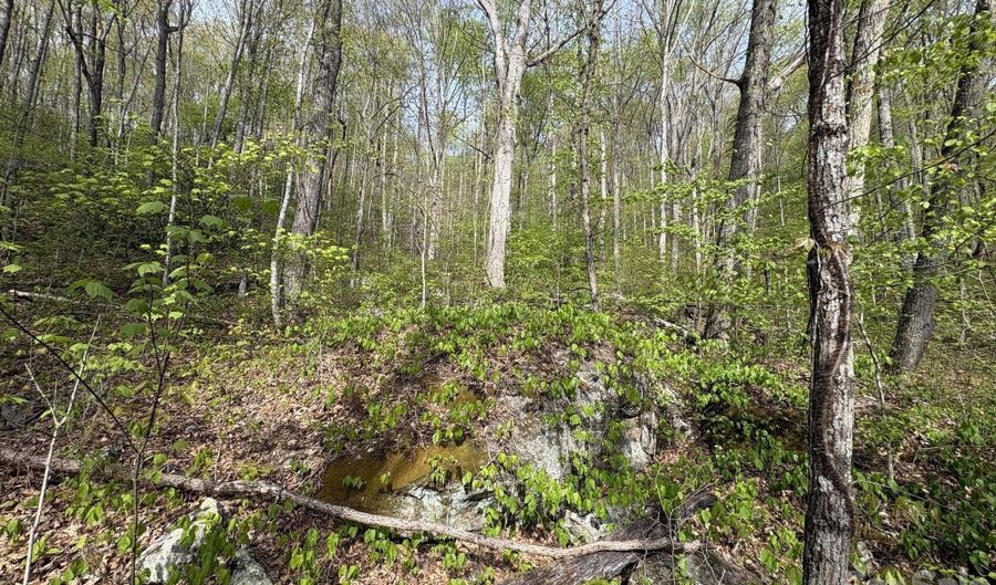 999999 Harwood Rd, Barnardsville, NC 28709 - 0 Beds, 0 Bath
