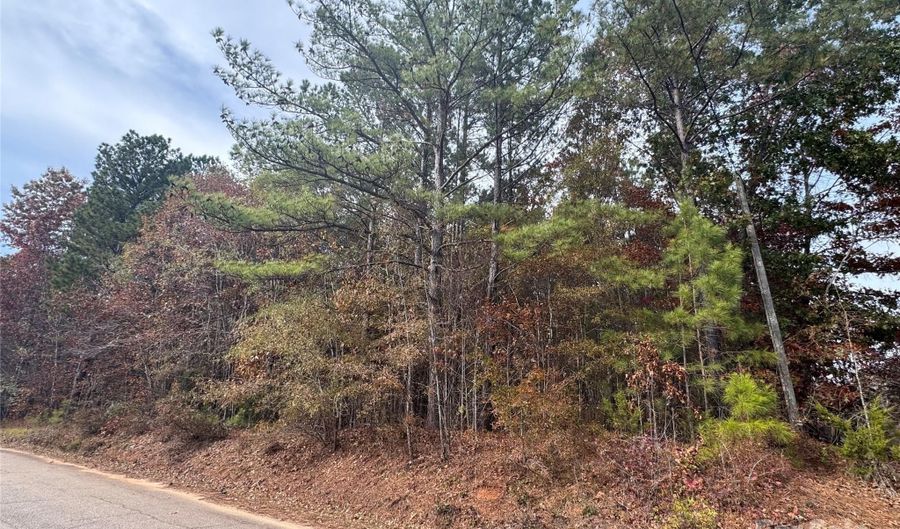 Russell Road, Blackstock, SC 29014 - 0 Beds, 0 Bath