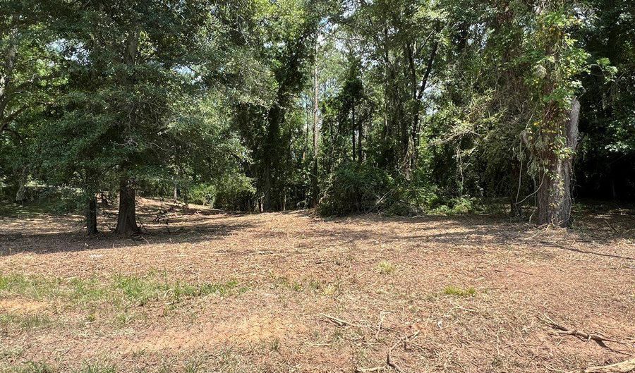 00 US Hwy 29, Banks, AL 36005 - 0 Beds, 0 Bath