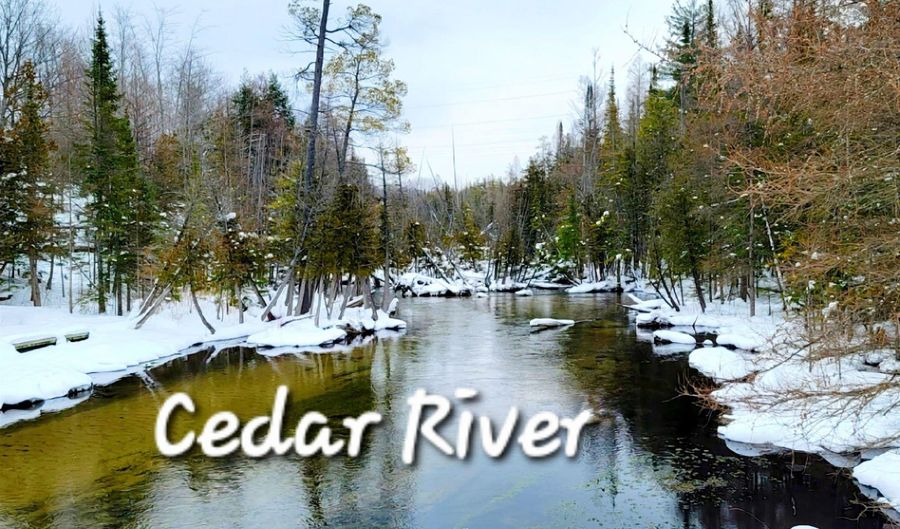 37 Cedar River Dr, Bellaire, MI 49615 - 0 Beds, 0 Bath