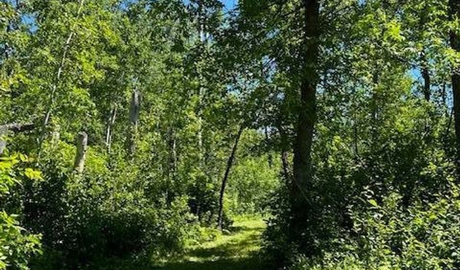 Hartley Shores Road lot 16, Bottineau, ND 58318 - 0 Beds, 0 Bath