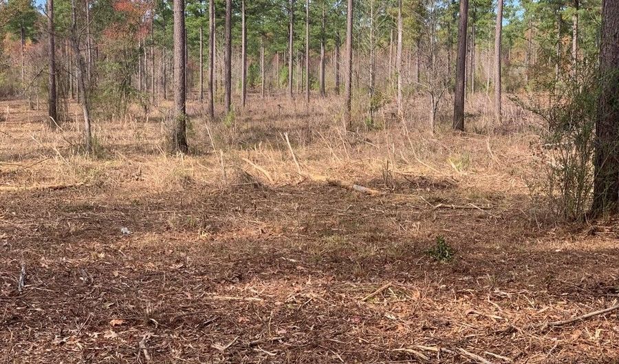 LOT # 5 OLD HWY 33, Centreville, MS 39631 - 0 Beds, 0 Bath