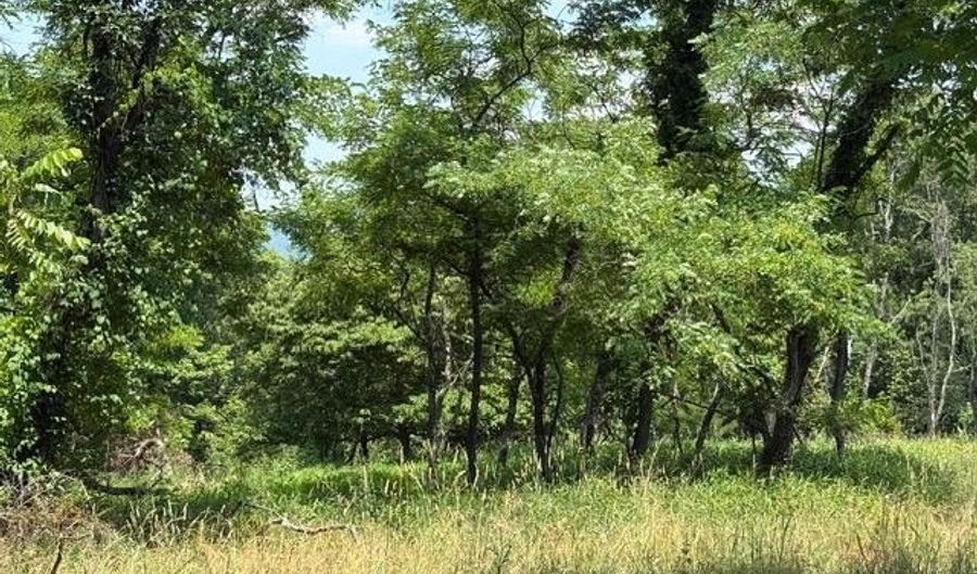 FOX RUN lot 24A 3.22 Ac, Baker, WV 26801 - 0 Beds, 0 Bath