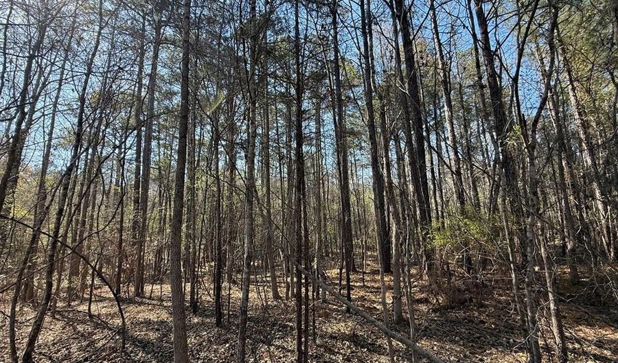 Markham Road, Bradley, SC 29819 - 0 Beds, 0 Bath