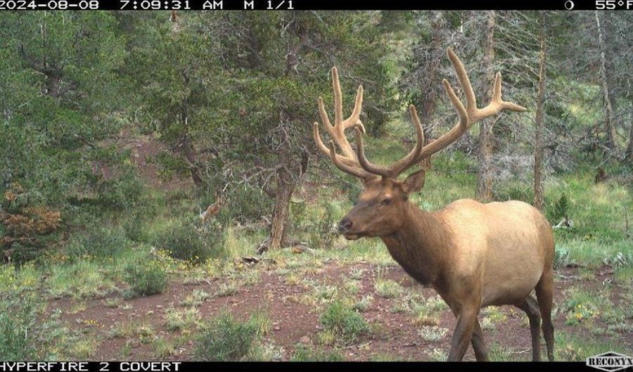Spanish Peaks Dr, Aguilar, CO 81020 - 0 Beds, 0 Bath