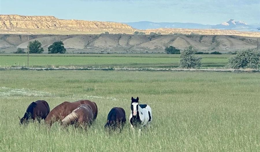 TBD Lane 6 1/2 Unit A, Deaver, WY 82421 - 0 Beds, 0 Bath