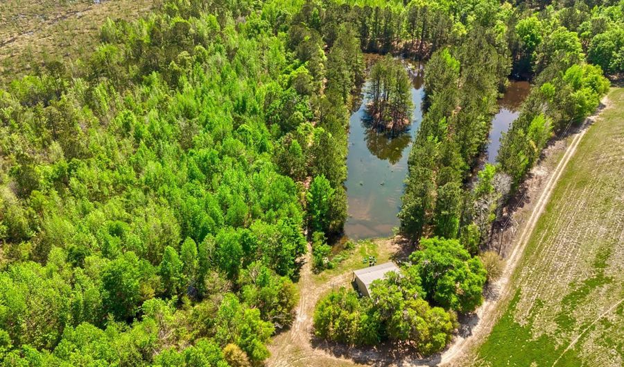 TBD Alligator Road, Bamberg, SC 29843 - 0 Beds, 0 Bath