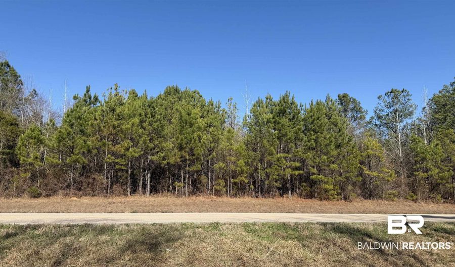 Alabama Highway 47, Beatrice, AL 36425 - 0 Beds, 0 Bath