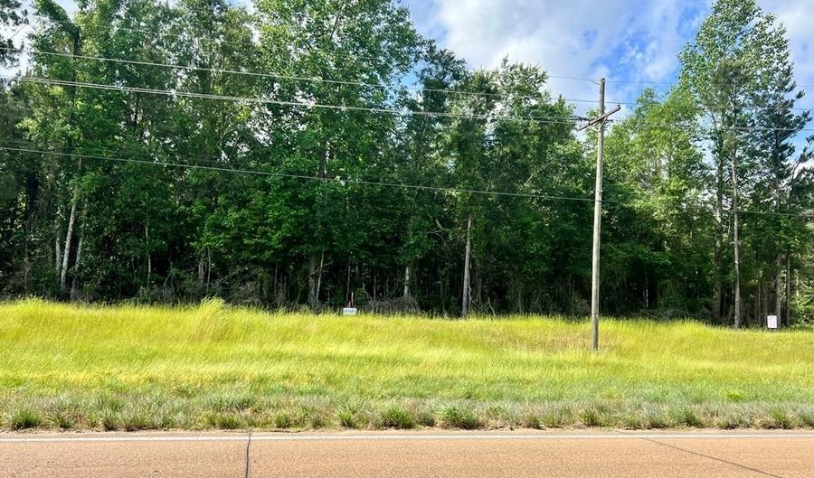 LOT 8 HWY 24, Centreville, MS 39631 - 0 Beds, 0 Bath