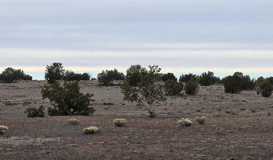 214 D Juniper Woods, Ash Fork, AZ 86320 - 0 Beds, 0 Bath