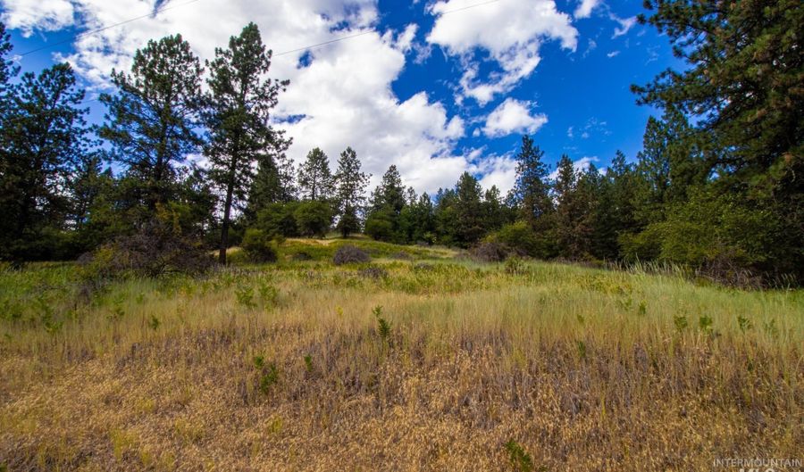 0 Whitetail Dr, Ahsahka, ID 83520 - 0 Beds, 0 Bath