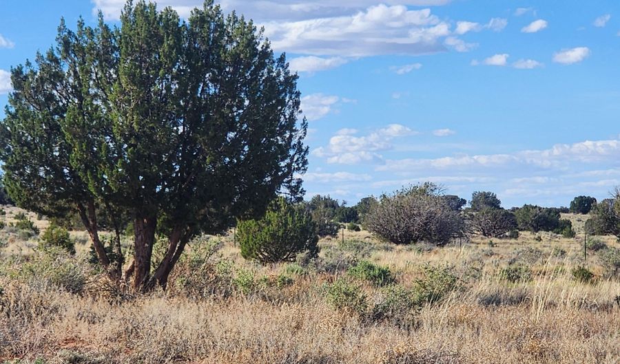 1483 County Road 5270, Concho, AZ 85924 - 1 Beds, 1 Bath